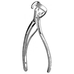 Thoracic And Lung Surgery